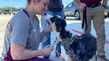 FREE microchip event picture