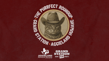 The Purrfect Round Up