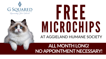 May Microchip Month